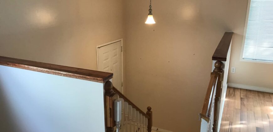 126 Temple Hill Drive NE, Calgary, Available July 1